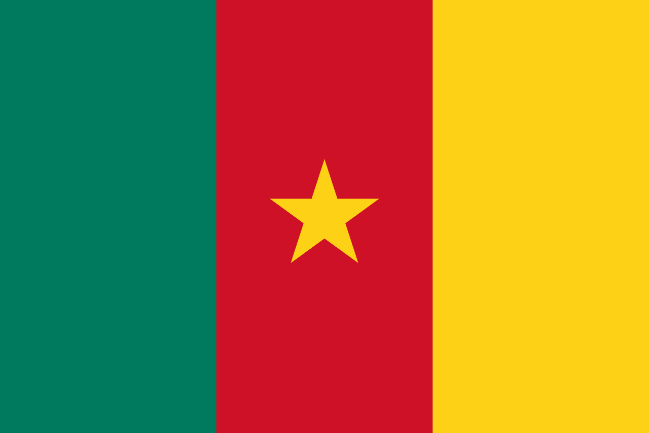 Cameroon flag